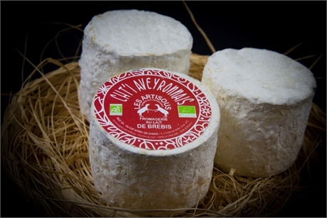 Le ch tit Aveyronnais